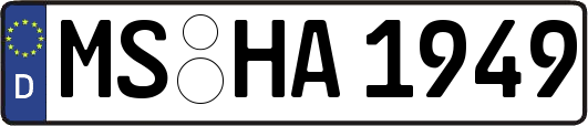 MS-HA1949