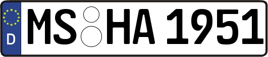 MS-HA1951