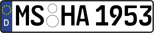 MS-HA1953