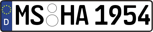 MS-HA1954