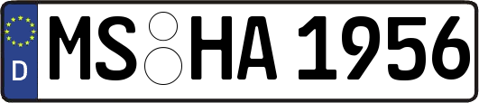 MS-HA1956