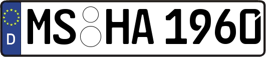 MS-HA1960