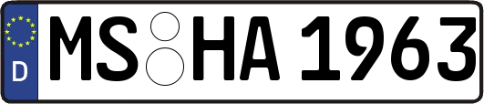 MS-HA1963