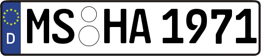 MS-HA1971