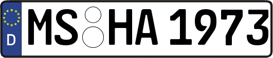 MS-HA1973