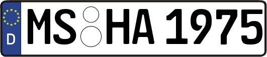 MS-HA1975