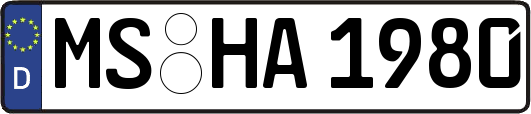 MS-HA1980