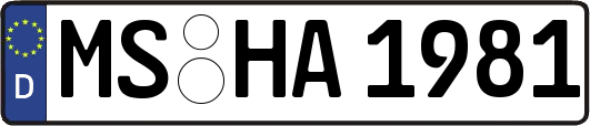 MS-HA1981