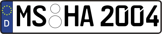 MS-HA2004