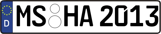 MS-HA2013