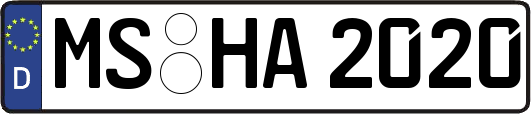 MS-HA2020