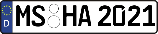 MS-HA2021