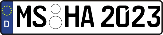MS-HA2023