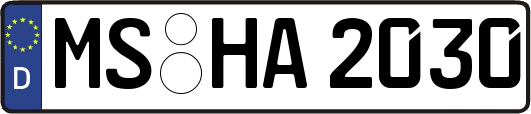 MS-HA2030