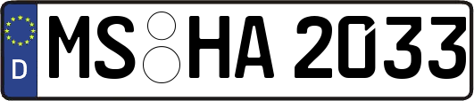 MS-HA2033