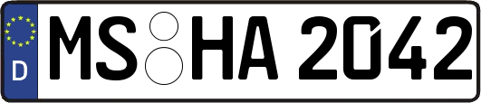 MS-HA2042
