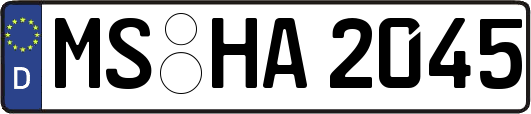 MS-HA2045