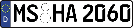 MS-HA2060