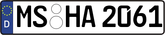 MS-HA2061