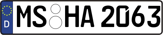 MS-HA2063