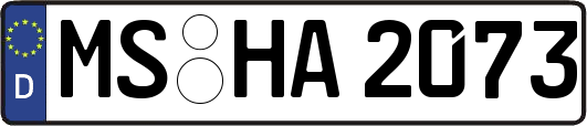 MS-HA2073