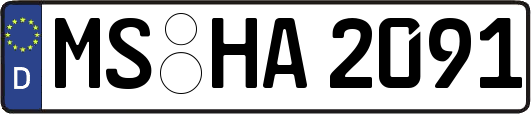 MS-HA2091