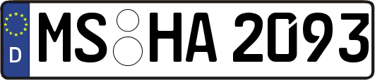 MS-HA2093