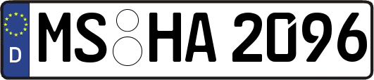 MS-HA2096