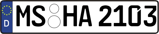 MS-HA2103