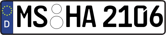 MS-HA2106