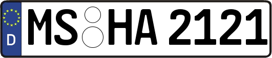 MS-HA2121