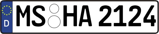 MS-HA2124