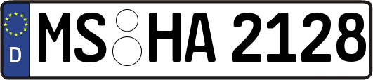 MS-HA2128
