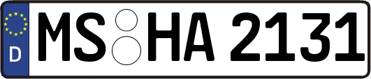 MS-HA2131