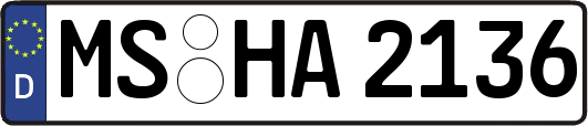 MS-HA2136