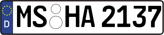 MS-HA2137