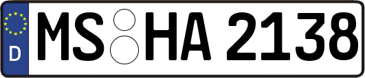 MS-HA2138