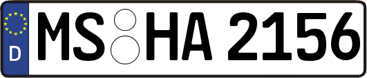 MS-HA2156