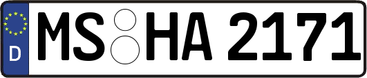 MS-HA2171
