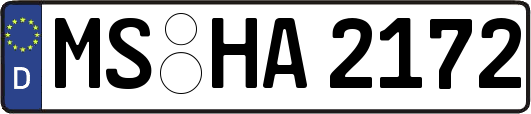 MS-HA2172
