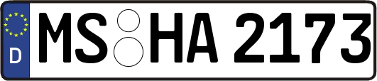 MS-HA2173