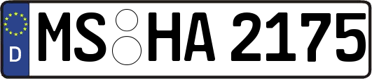 MS-HA2175