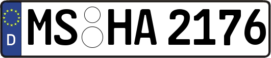 MS-HA2176