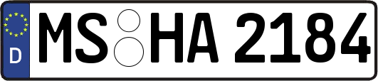 MS-HA2184