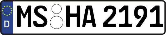 MS-HA2191