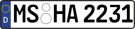 MS-HA2231