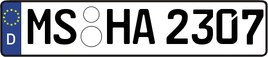 MS-HA2307
