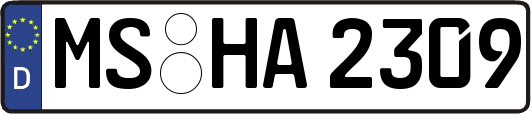 MS-HA2309