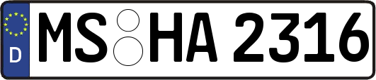 MS-HA2316