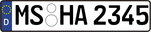 MS-HA2345